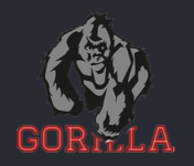 Gorilla Rocks - usługi wysokościowe, prace alpinistyczne Wrocław